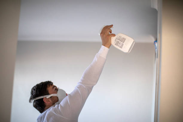 Best Industrial Mold Remediation in Maysville, MO